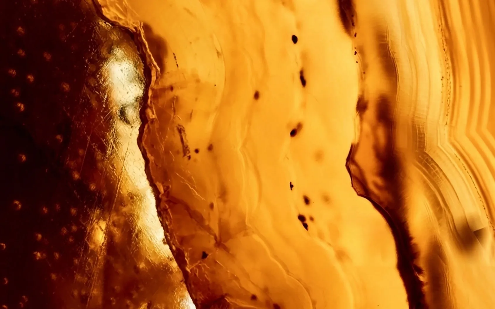 Amber in close-up, the material behind the tower’s colour, developer image